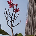2014-12-07 13.49.57.jpg