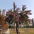 2014-12-07 13.52.45.jpg