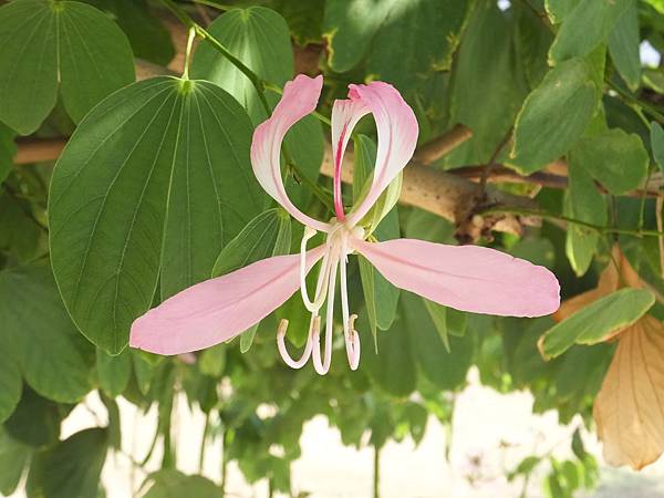 2014-12-07 13.58.07.jpg