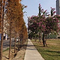 2014-12-07 14.05.35.jpg