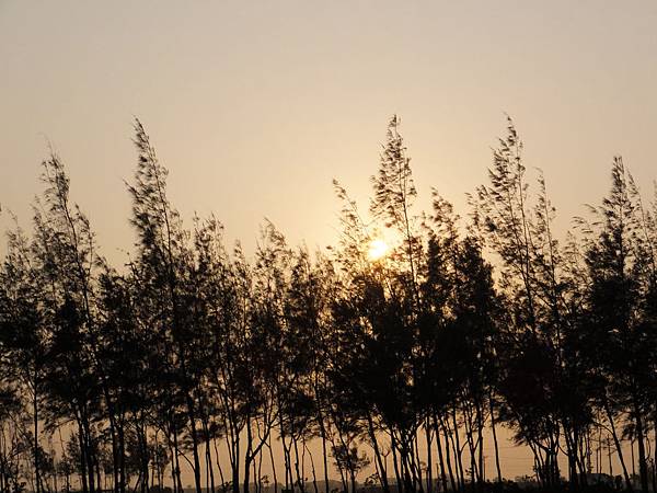 2015-02-18 17.15.31.jpg