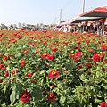 DSCF2523.JPG