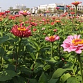 DSCF2546.JPG