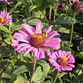 DSCF2553.JPG