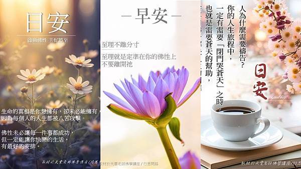 2025最新早安圖 日安圖 問候圖 正能量語錄 免費下載 