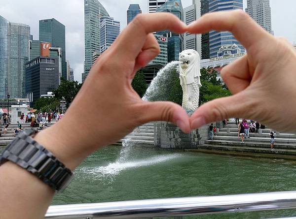 IMAG7952.jpg IMAG7952.jpg