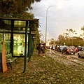 公車站也到處都樹枝跟樹葉