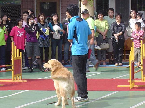20081123訓練犬的表演