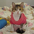 IMG_0612.JPG