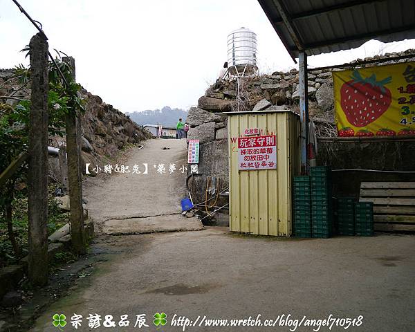 苗栗縣．大湖鄉【玩家遊草莓園】11