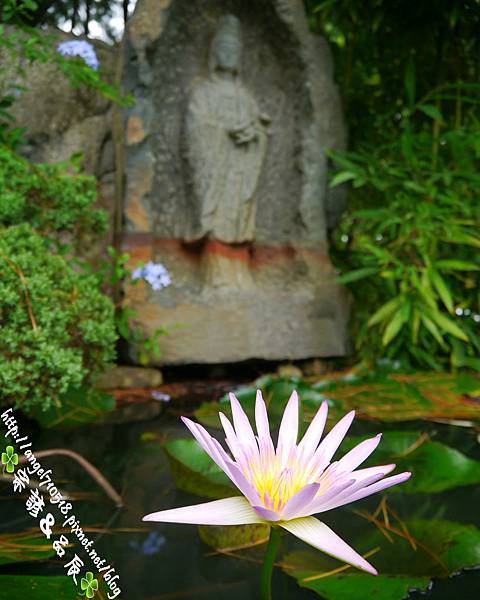 苗栗縣．卓蘭鎮【花自在食宿館】03