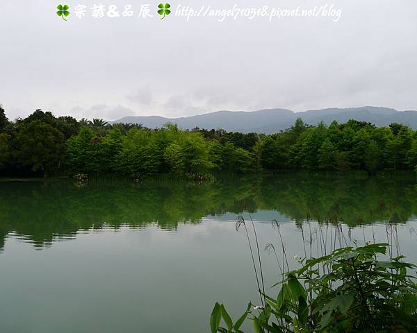 【夢幻雲山水】花蓮縣．壽豐鄉12.jpg