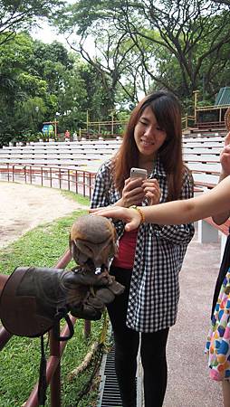 Jurong Bird Park