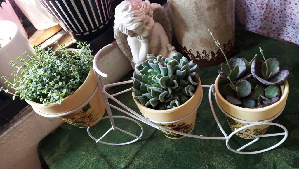 487937.jpg 487937.jpg