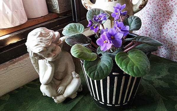 488192.jpg 488192.jpg