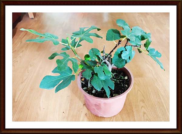 492460.jpg 492460.jpg