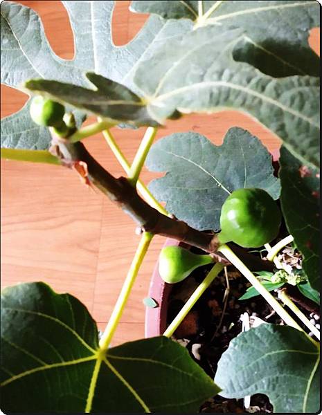 492466.jpg 492466.jpg