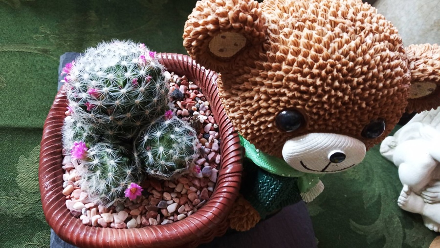 492513.jpg 492513.jpg