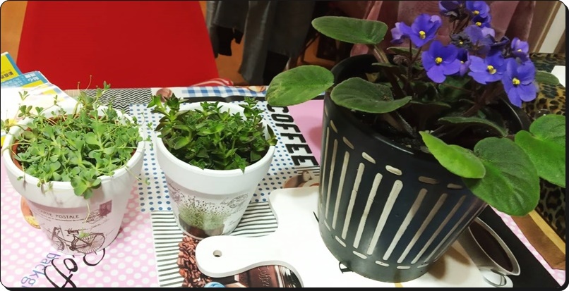 492506.jpg 492506.jpg