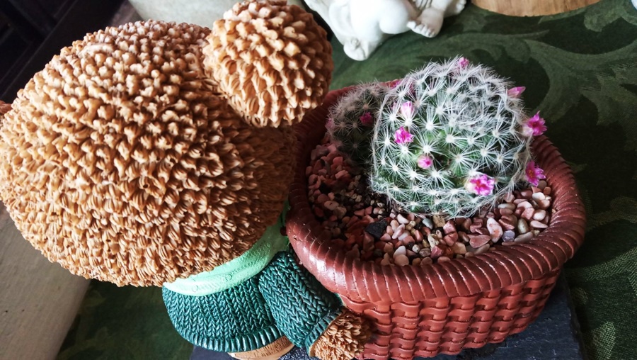 492512.jpg 492512.jpg