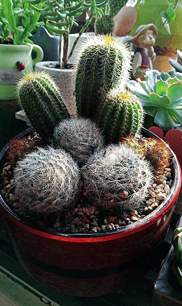 492869.jpg 492869.jpg