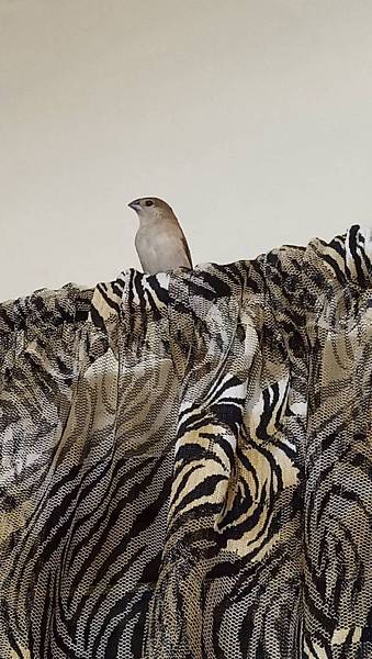 493057.jpg 493057.jpg