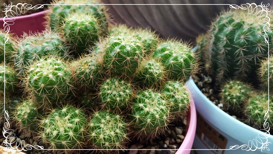 492871.jpg 492871.jpg