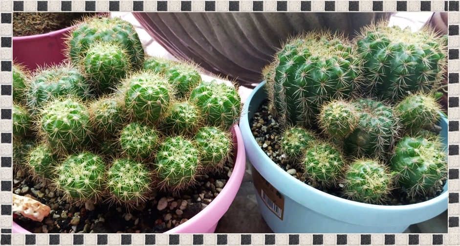 492872.jpg 492872.jpg