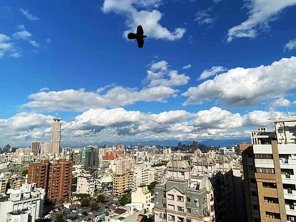 83481757_3195188060494696_6056124021613789184_n (1).jpg 83481757_3195188060494696_6056124021613789184_n (1).jpg