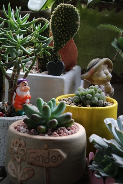 IMG_9999.JPG IMG_9999.JPG