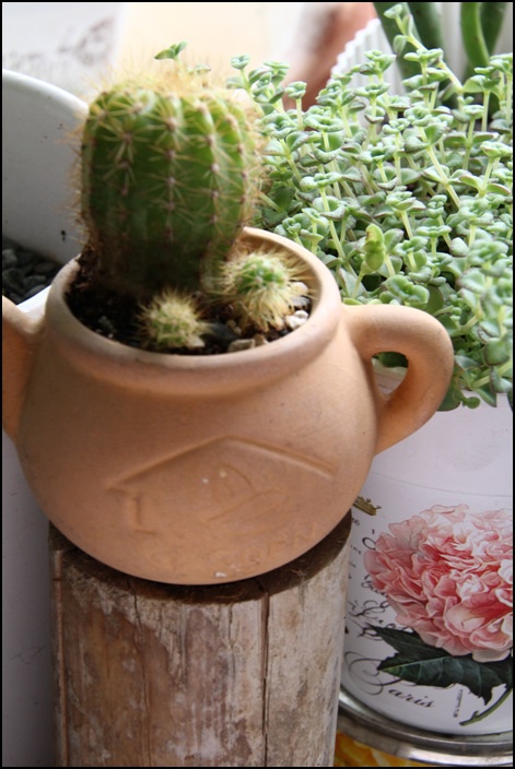 IMG_9992.JPG IMG_9992.JPG