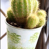 IMG_9993.JPG IMG_9993.JPG