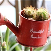 IMG_9994.JPG IMG_9994.JPG