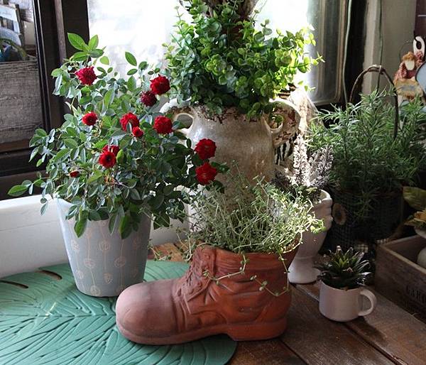 IMG_0965.JPG IMG_0965.JPG