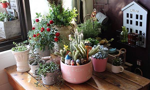 IMG_0976.JPG IMG_0976.JPG