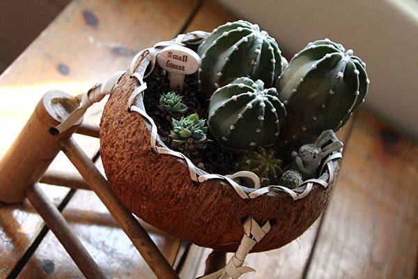 IMG_1033.JPG IMG_1033.JPG