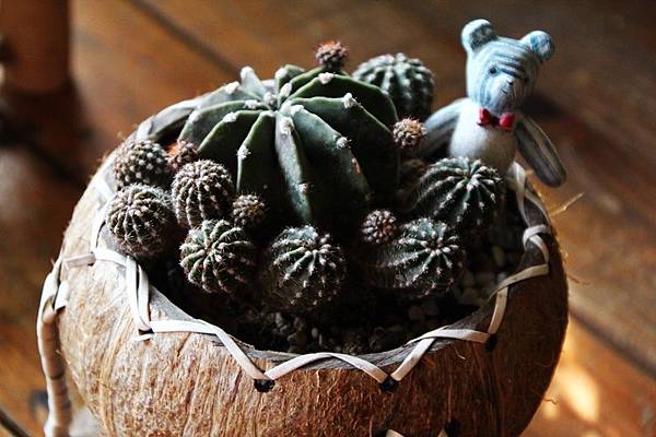 IMG_1031.JPG IMG_1031.JPG