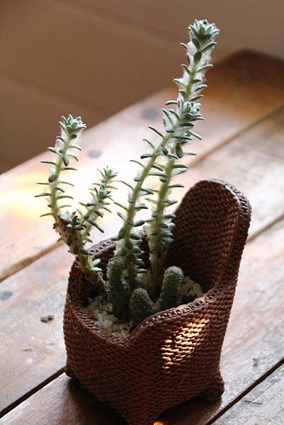 IMG_1018.JPG IMG_1018.JPG