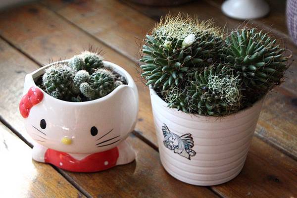 IMG_1039.JPG IMG_1039.JPG