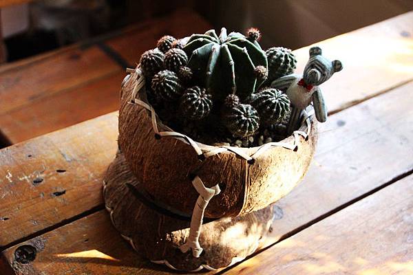 IMG_1035.JPG IMG_1035.JPG