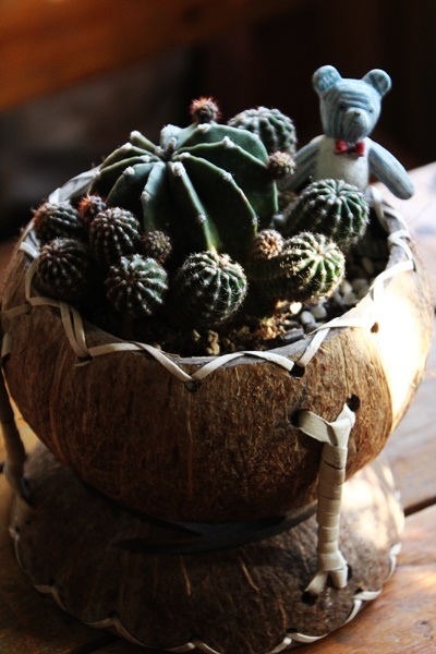 IMG_1036.JPG IMG_1036.JPG