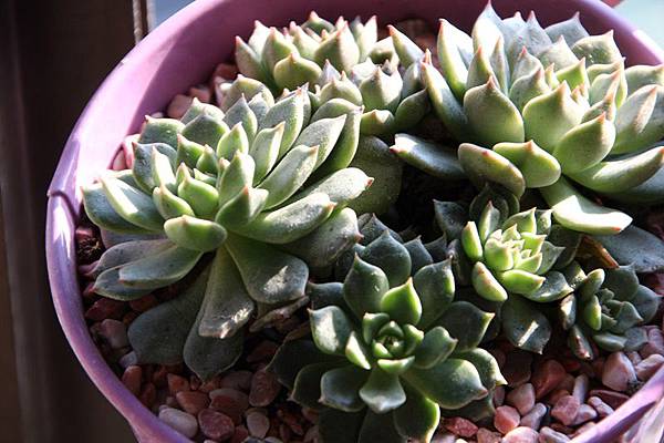 IMG_1063.JPG IMG_1063.JPG