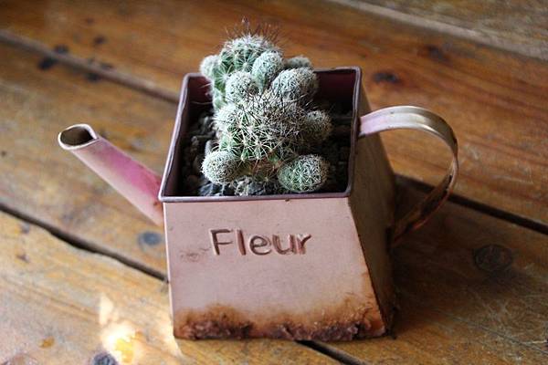 IMG_1058.JPG IMG_1058.JPG