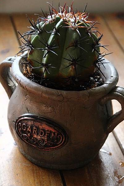 IMG_1053.JPG IMG_1053.JPG