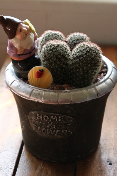 IMG_1042.JPG IMG_1042.JPG