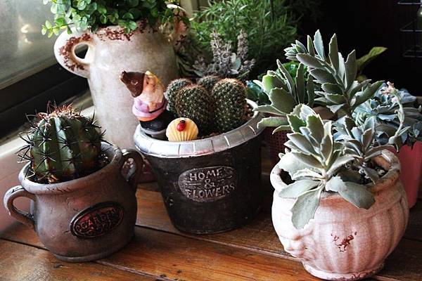 IMG_1056.JPG IMG_1056.JPG