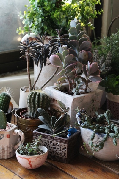 IMG_1099.JPG IMG_1099.JPG