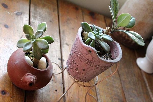 IMG_1108.JPG IMG_1108.JPG