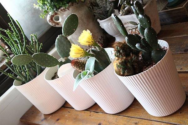 IMG_1116.JPG IMG_1116.JPG