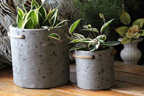 IMG_1251.JPG IMG_1251.JPG